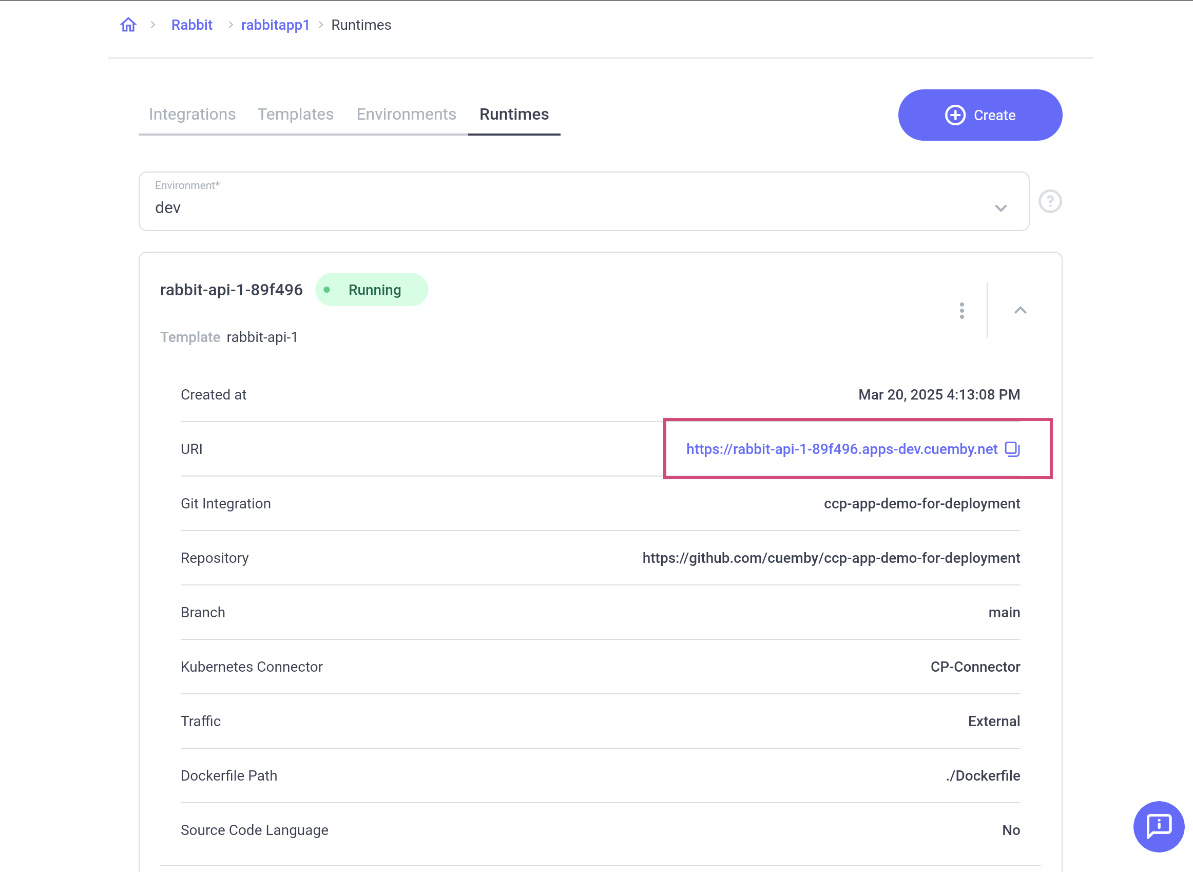 View Runtime Detail URL